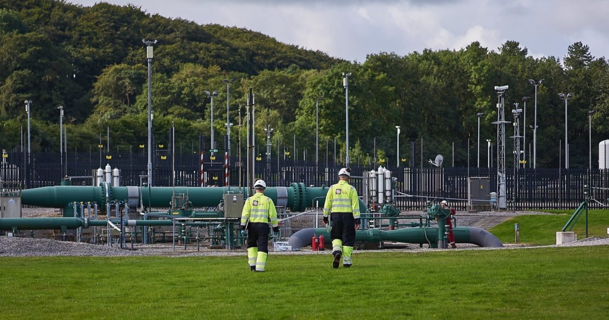 The People Behind Steer Energy Steer Energy